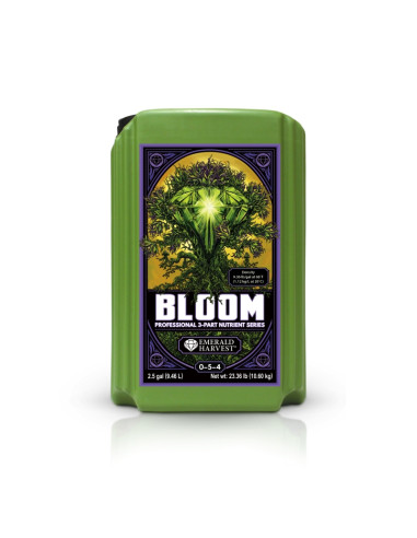 BLOOM (9,46L) (MULTI-IDIOMA)