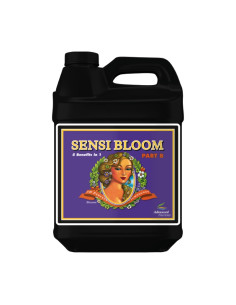 PH PERFECT SENSI BLOOM PART B 10L