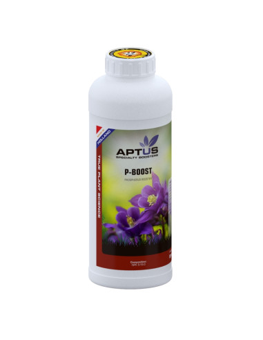P-BOOST 1 L