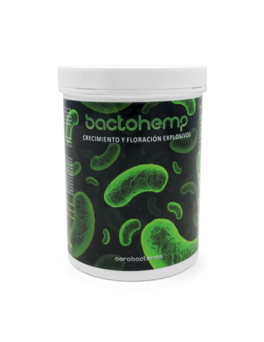 BACTOHEMP 950 GR