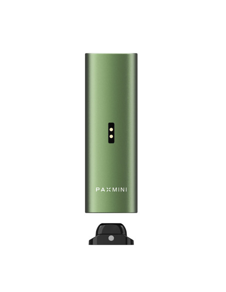 PAX MINI 2 STARTER KIT GREENSTONE