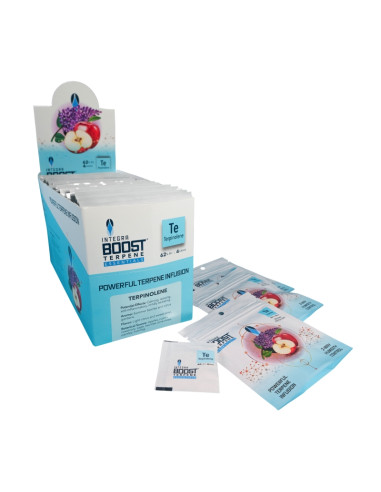 62% 4GR INTEGRA BOOST TERPINOLENE CAJA-BLISTER (48 UDS)