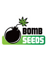 BOMB SEEDS