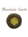 MANDALA SEEDS