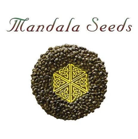 MANDALA SEEDS