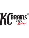 K.C. BRAINS