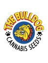 THE BULLDOG SEEDS