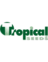 TROPICAL SEEDS