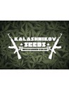 KALASHNIKOV SEEDS