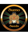 SUMO SEEDS